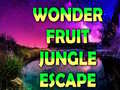 遊戲Wonder Fruit Jungle Escape