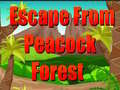 遊戲Escape From Peacock Forest