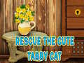 遊戲Rescue The Cute Tabby Cat