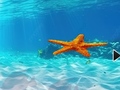 遊戲Escape From Underwater Starfish