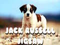 遊戲Jack Russell Jigsaw