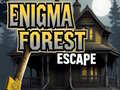 遊戲Enigma Forest Escape