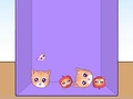 遊戲Evolution of Cat Memes