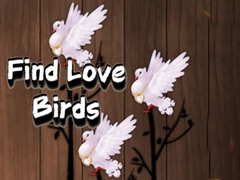 遊戲Find Love Birds