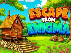 遊戲Escape From Enigma