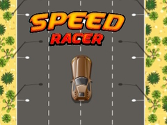 遊戲Speed Racer