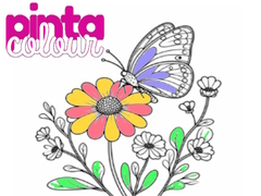 遊戲Pinta Colour