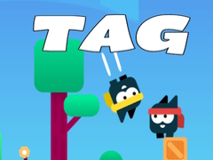 遊戲Tag