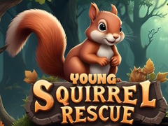 遊戲Young Squirrel Rescue