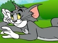 遊戲Tom and Jerry ATV Adventure