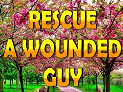 遊戲Rescue A Wounded Guy