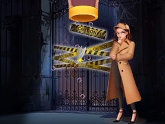 遊戲Pin Detective