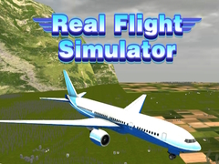 遊戲Real Flight Simulator 