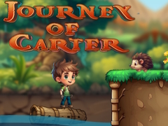 遊戲Journey Of Carter