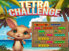 遊戲Tetra Challenge