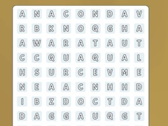 遊戲Hidden Words