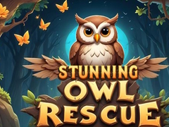 遊戲Stunning Owl Rescue