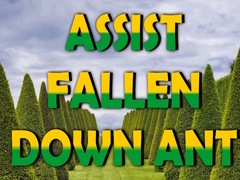 遊戲 Assist Fallen Down Ant