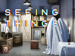 遊戲Seeing Things