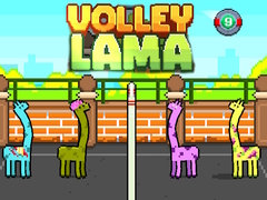 遊戲Volley Lama