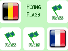 遊戲Flying Flags