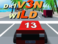 遊戲Dr1v3n Wild