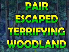 遊戲Pair Escaped Terrifying Woodland