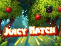 遊戲Juicy Match