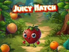 遊戲Juicy Match