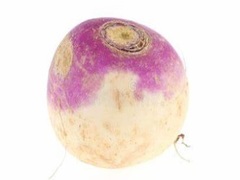 遊戲Turnip
