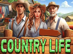 遊戲Country Life