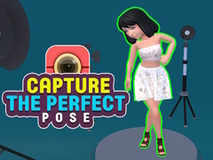 遊戲Capture the Perfect Pose 