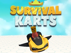 遊戲Survival Karts