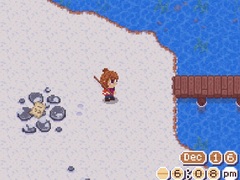 遊戲The Cozy Fishing