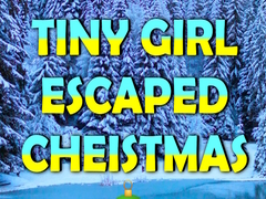 遊戲Tiny Girl Escaped Christmas Island