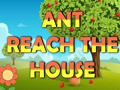 遊戲Ant Reach the House
