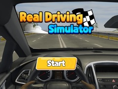 遊戲Real Driving Simulator