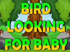 遊戲Bird Looking For Baby