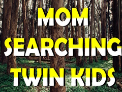 遊戲Mom Searching Twin Kids