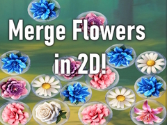 遊戲Merge Flowers in 2D!