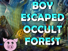 遊戲Boy Escaped Occult Forest