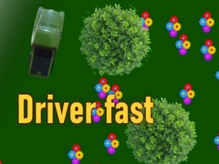 遊戲Driver fast