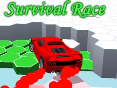 遊戲Survival Race