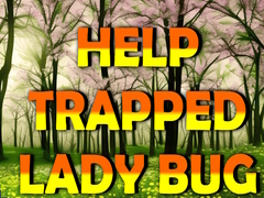遊戲Help Trapped Lady Bug