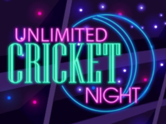 遊戲Unlimited Cricket Night