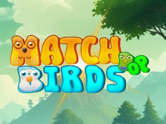 遊戲Match Pop Birds