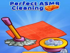 遊戲Perfect Asmr Cleaning