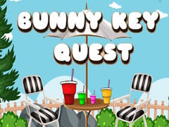 遊戲Bunny Key Quest