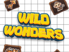 遊戲Wild Wonders