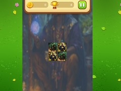 遊戲Magic Druid Memory Match